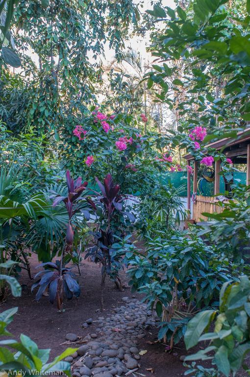 タマリンドCasa Smilin' Dogアパートメント 部屋 写真
